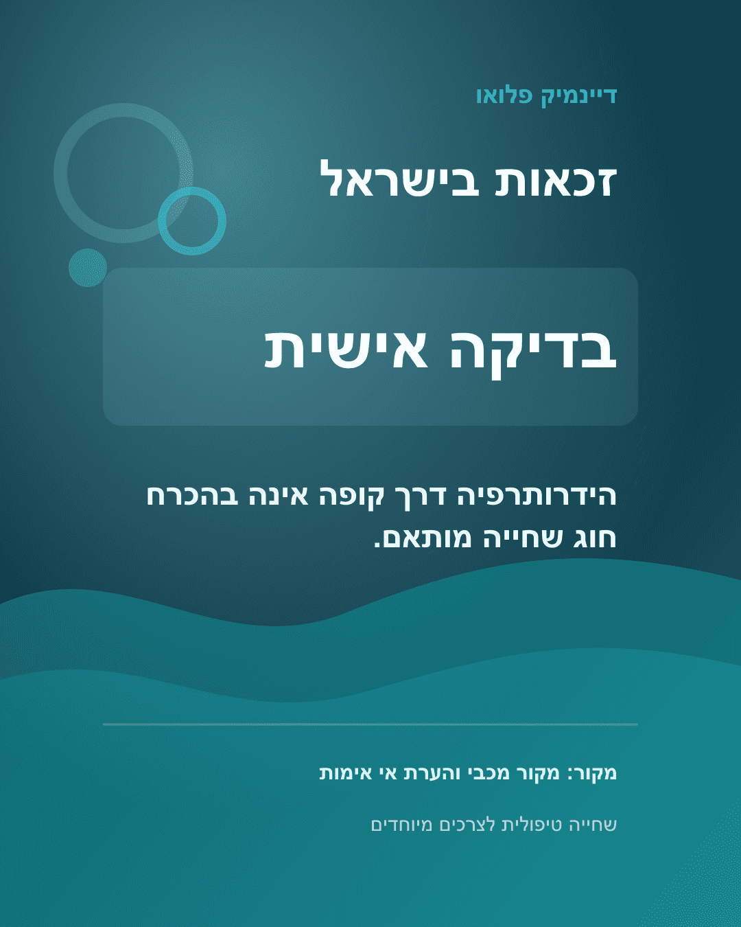 מימון בישראל
